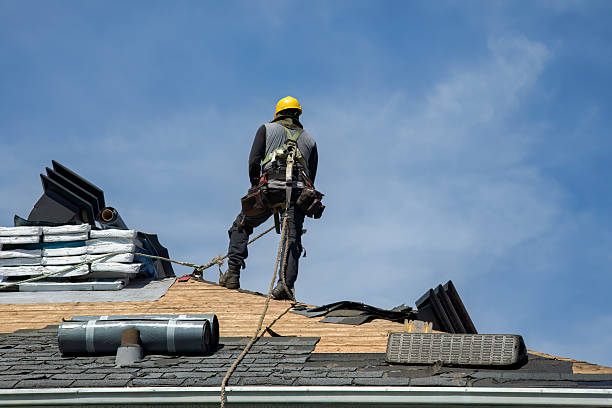 Professional Roof Replacement technician working in Cambria, IL